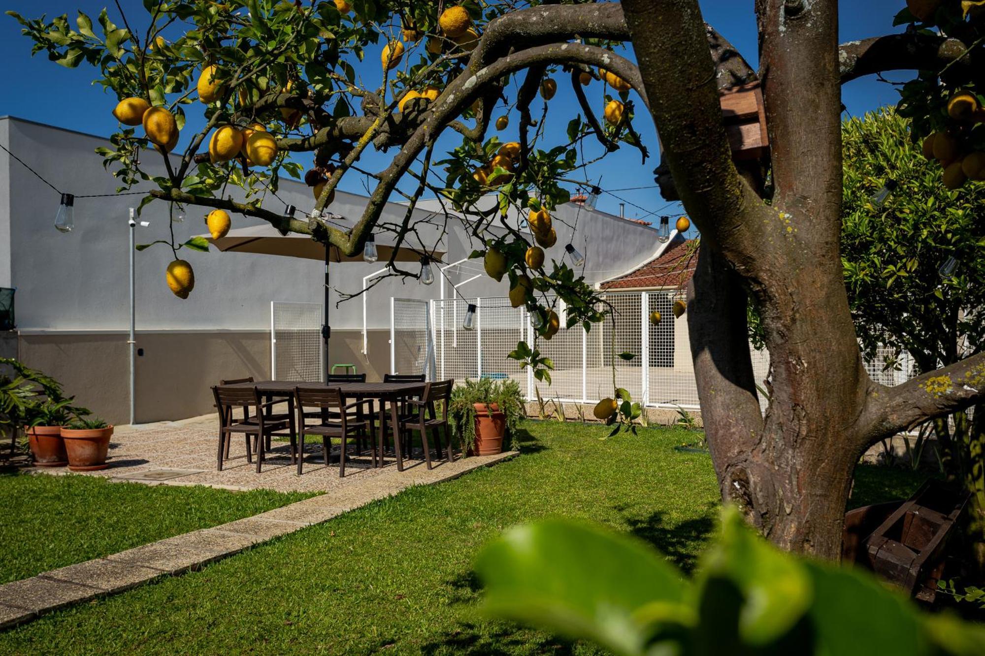 Villa 708 Mugnano House Aveleda Vila do Conde Esterno foto
